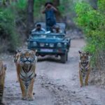 Jim Corbett
